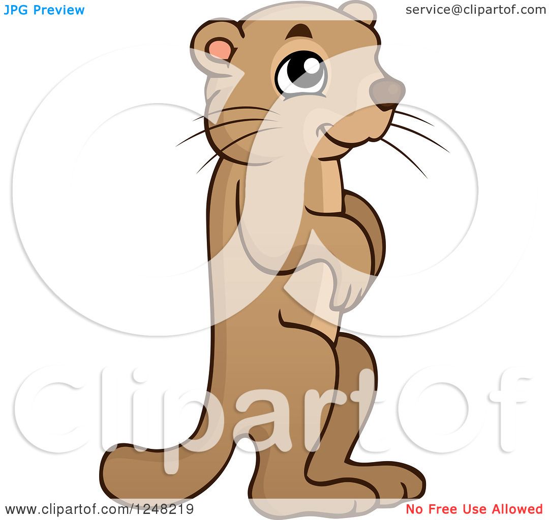 Marmot clipart #9, Download drawings