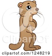 Marmot clipart #12, Download drawings