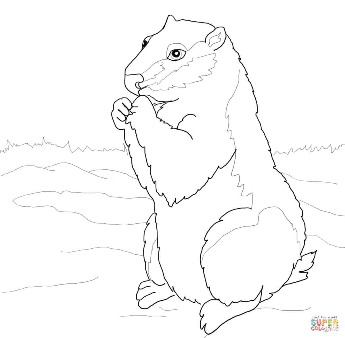 Marmot coloring #18, Download drawings