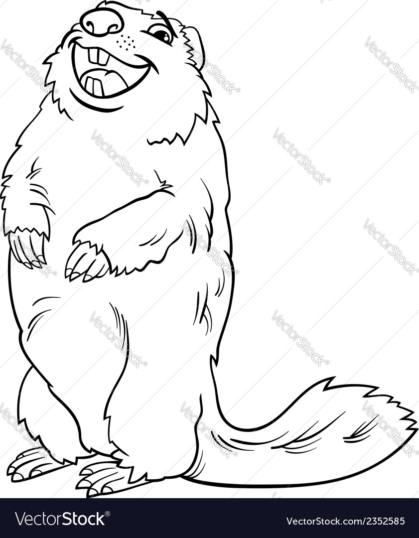 Marmot coloring #15, Download drawings