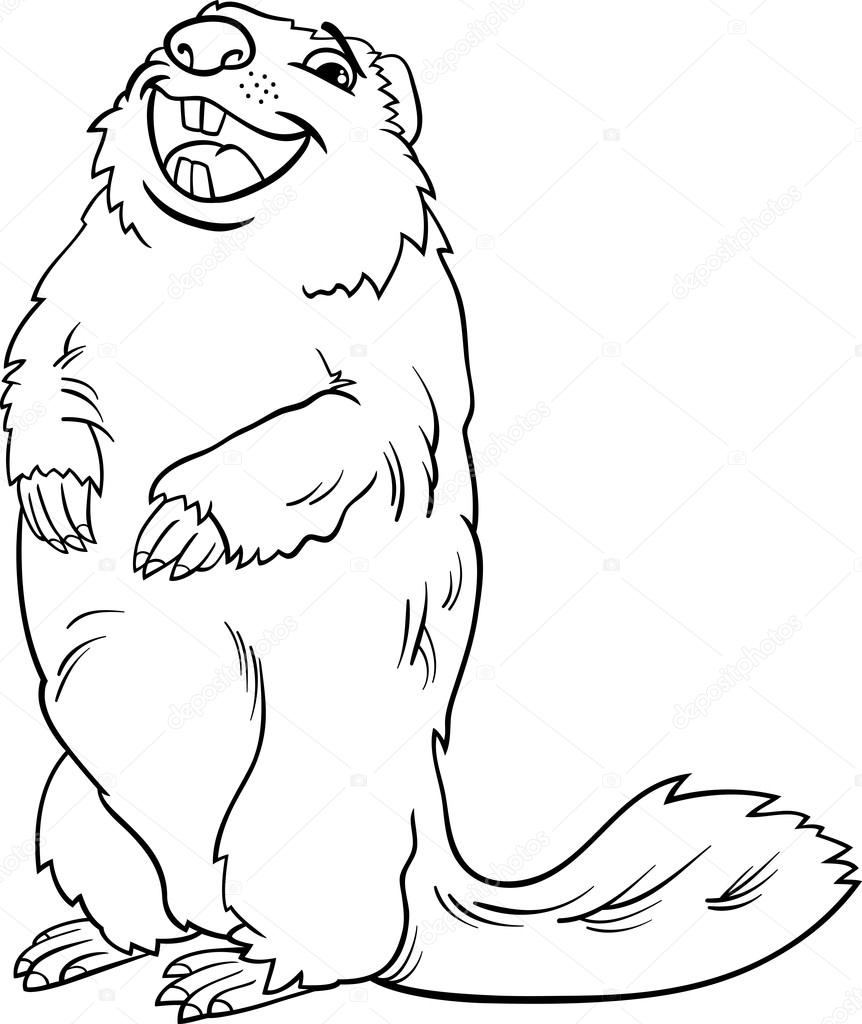 Marmot coloring #7, Download drawings