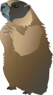 Marmot svg #11, Download drawings