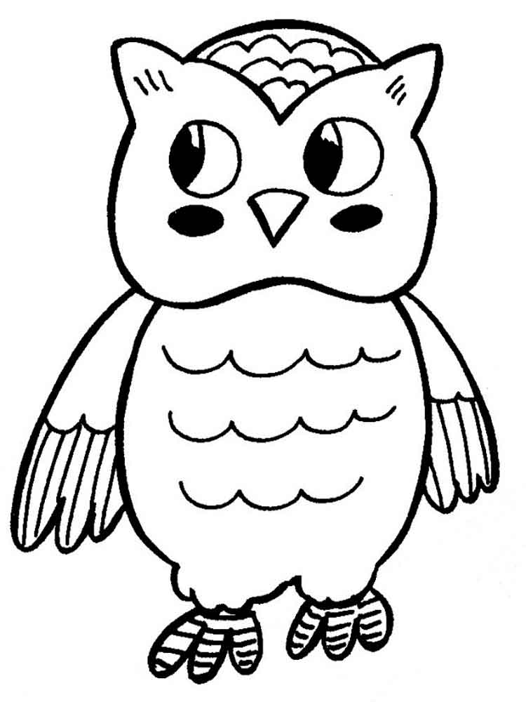 Marsh Owl coloring #10, Download drawings