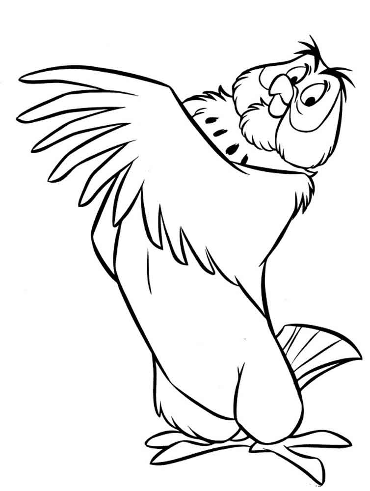 Marsh Owl coloring #20, Download drawings