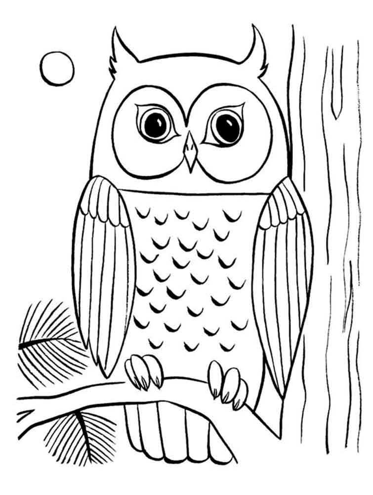 Marsh Owl coloring #18, Download drawings