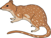 Marsupial clipart #14, Download drawings