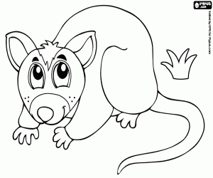 Marsupial coloring #5, Download drawings