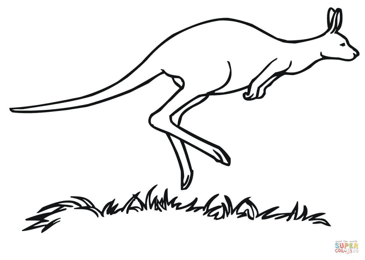 Marsupial coloring #16, Download drawings