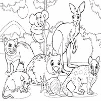 Marsupial coloring #17, Download drawings