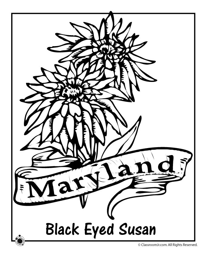 Maryland coloring #14, Download drawings