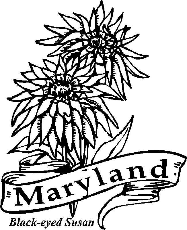 Maryland coloring #9, Download drawings