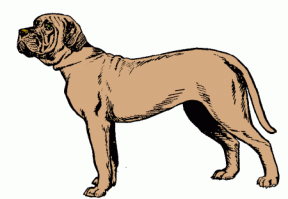 Mastiff clipart #1, Download drawings