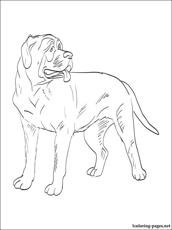 Mastiff coloring #3, Download drawings