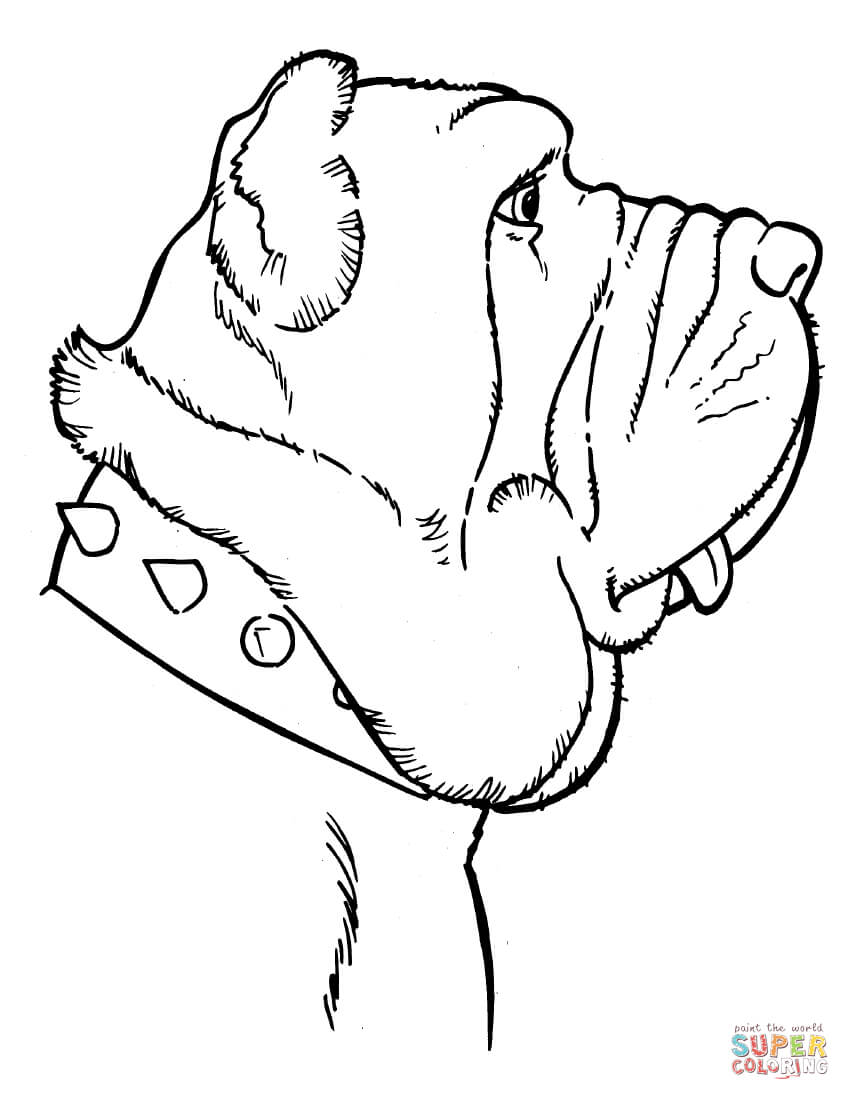 Mastiff coloring #5, Download drawings