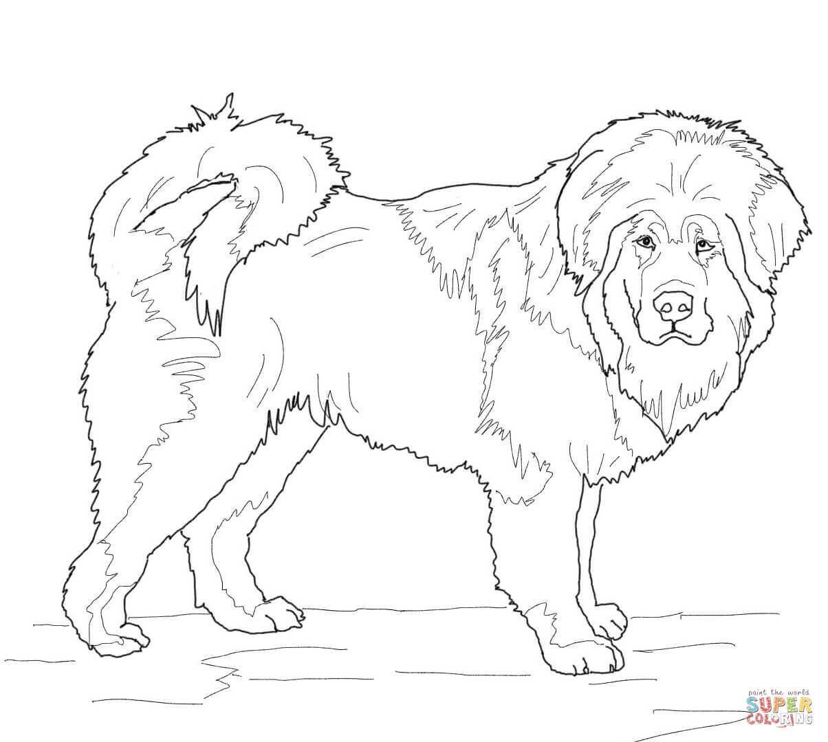 Mastiff coloring #12, Download drawings