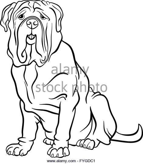 Mastiff coloring #19, Download drawings