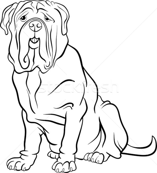 Mastiff coloring #1, Download drawings