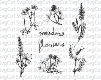 Meadow Sage svg #16, Download drawings