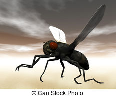 Meatfly clipart #1, Download drawings
