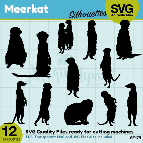 Meerkat svg #14, Download drawings