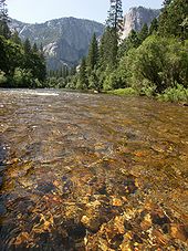 Merced River svg #18, Download drawings