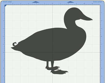 Merganser Duck svg #17, Download drawings