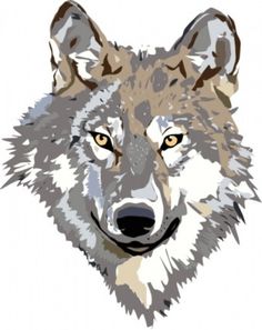 Mexican Gray Wolf clipart #14, Download drawings