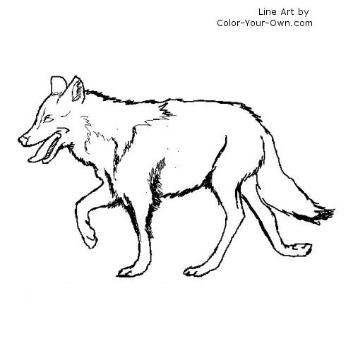 Mexican Gray Wolf coloring #14, Download drawings