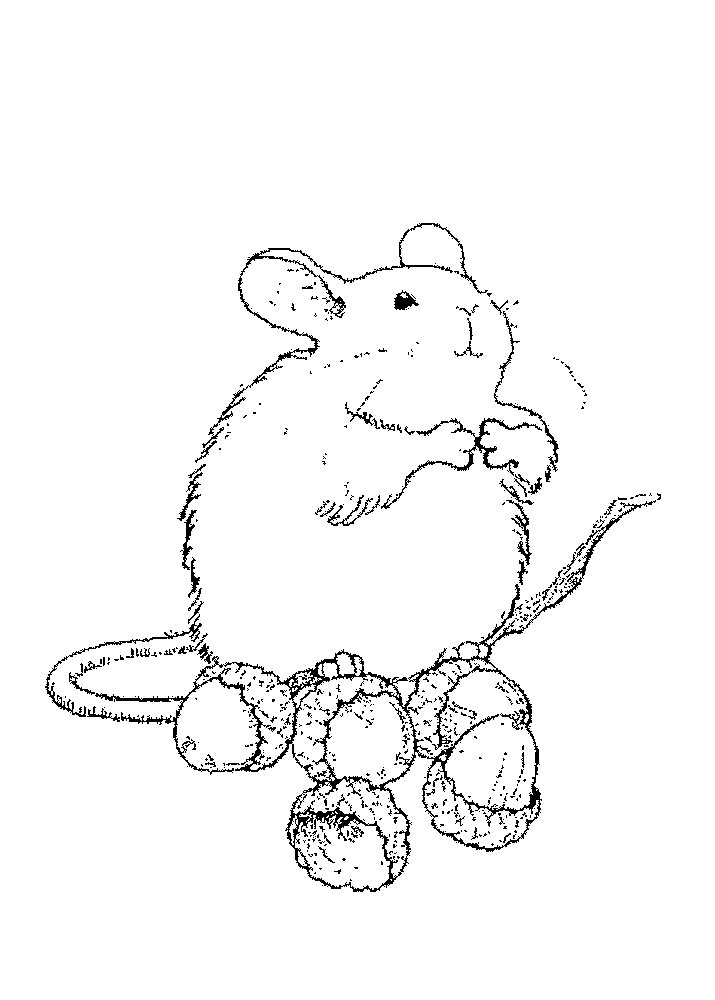 Rodent coloring #4, Download drawings
