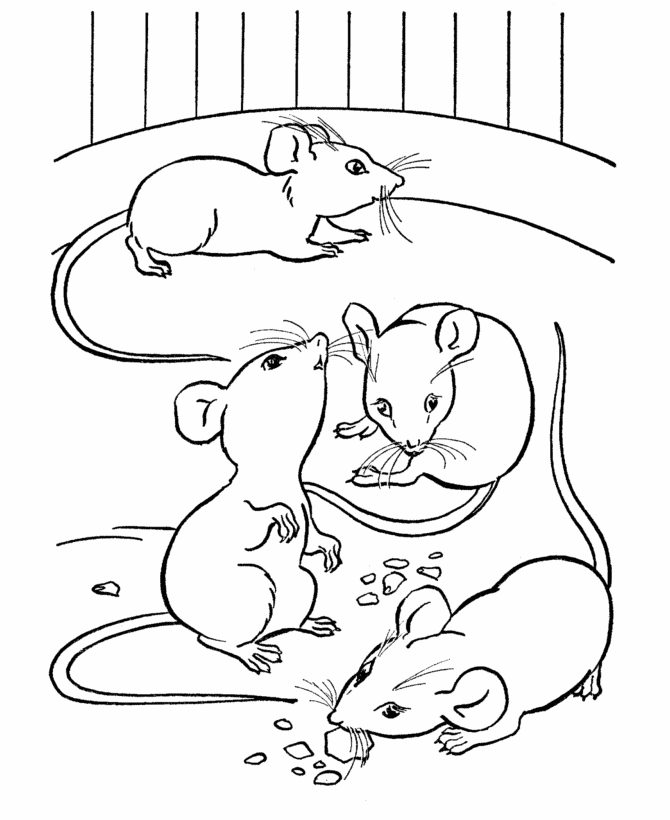 Rodent coloring #18, Download drawings