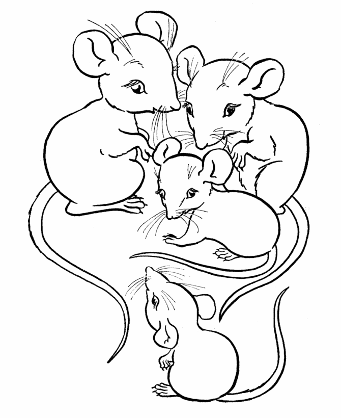 Mouse coloring #4, Download drawings