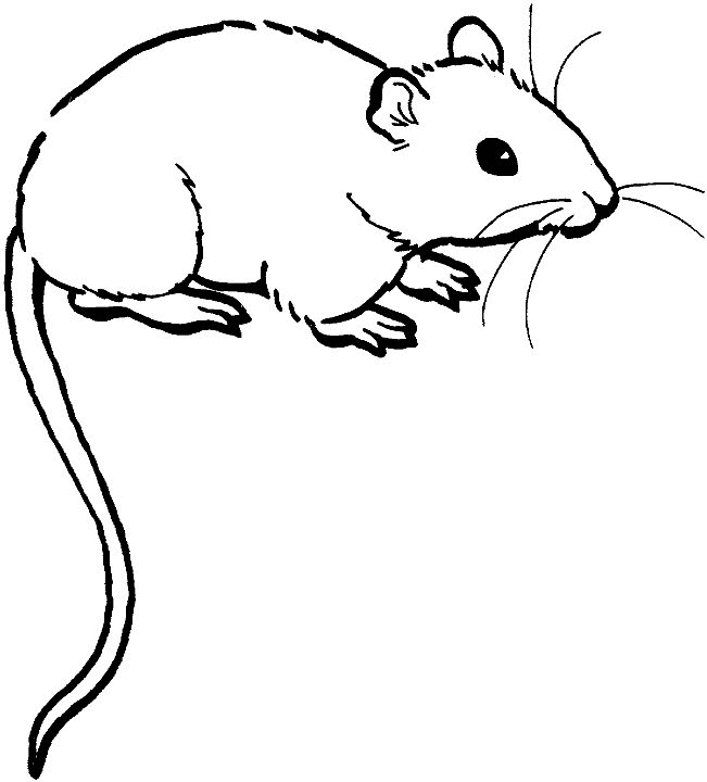 Mouse coloring #13, Download drawings