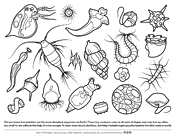 Microbe coloring #14, Download drawings