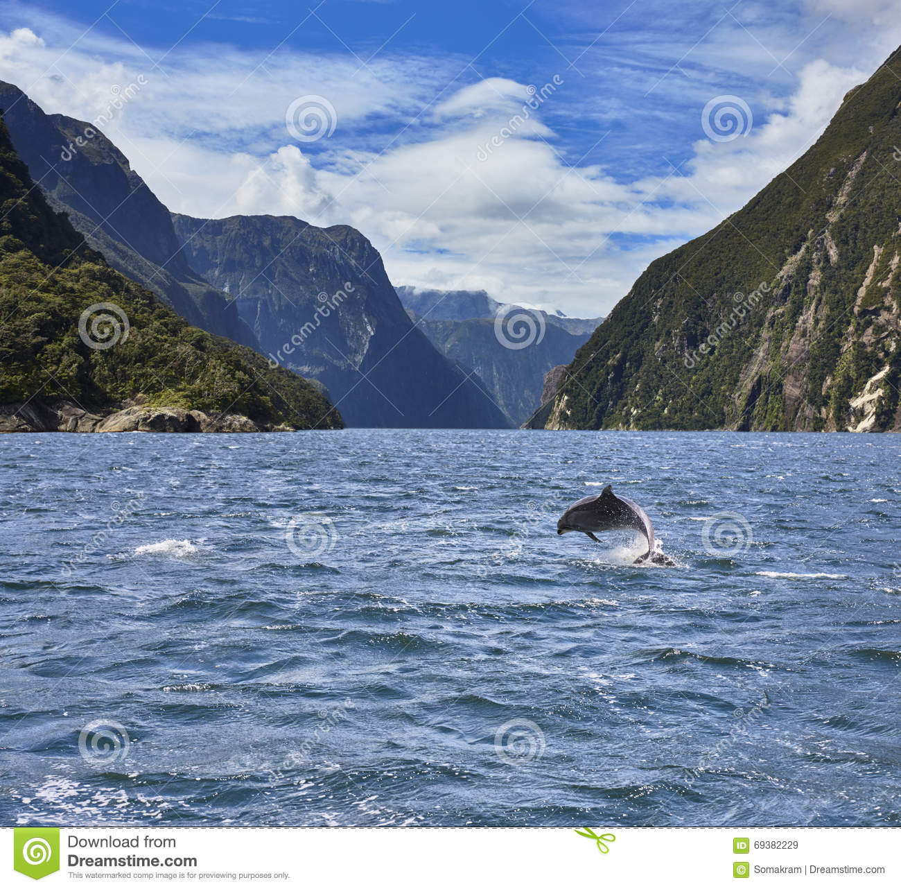 Milford Sound clipart #13, Download drawings