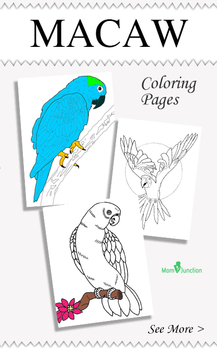 Military Macaw coloring #7, Download drawings