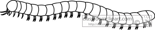 Millipede clipart #1, Download drawings