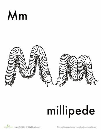 Millipede coloring #4, Download drawings