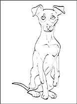 Miniature Pinscher coloring #11, Download drawings