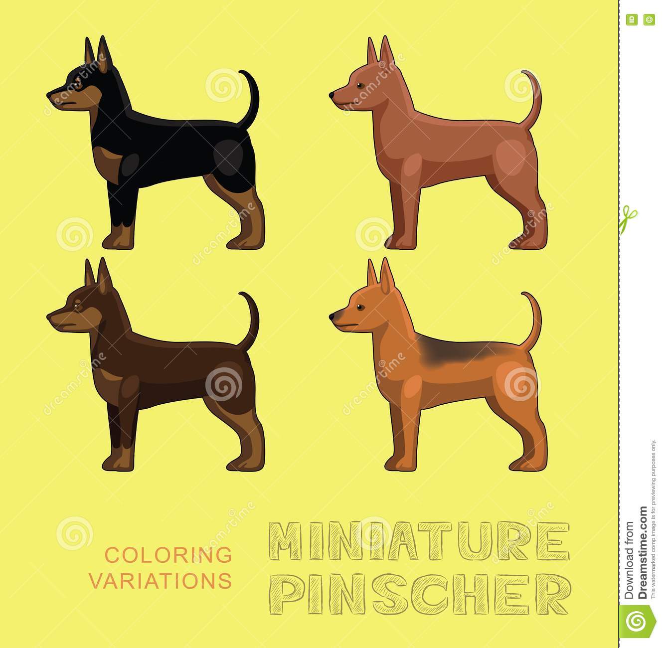 Miniature Pinscher coloring #8, Download drawings
