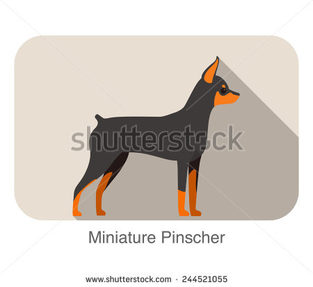 Miniature Pinscher svg #8, Download drawings