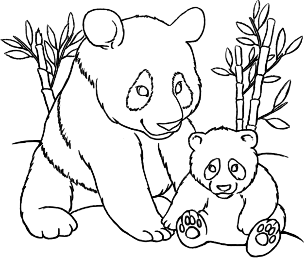 Minor Panda coloring #18, Download drawings