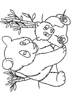 Minor Panda coloring #15, Download drawings