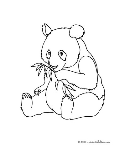 Panda coloring #3, Download drawings