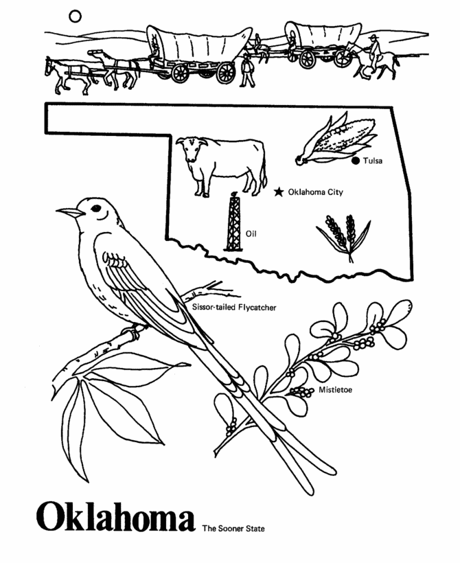 Mistletoe Bird coloring #4, Download drawings