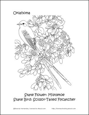Mistletoe Bird coloring #12, Download drawings