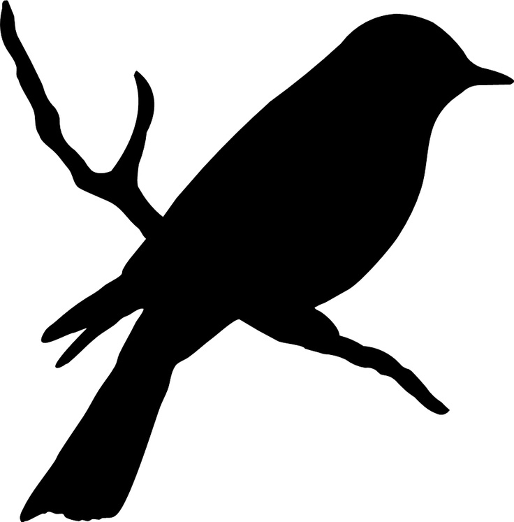 Mockingbird clipart #9, Download drawings