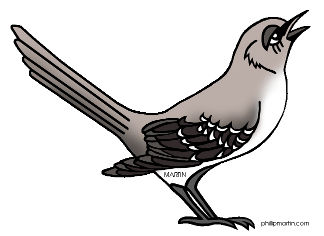 Mockingbird clipart #3, Download drawings