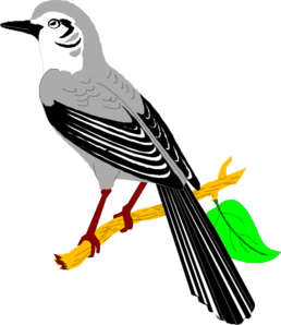 Mockingbird clipart #2, Download drawings