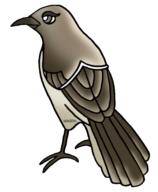 Mockingbird clipart #19, Download drawings