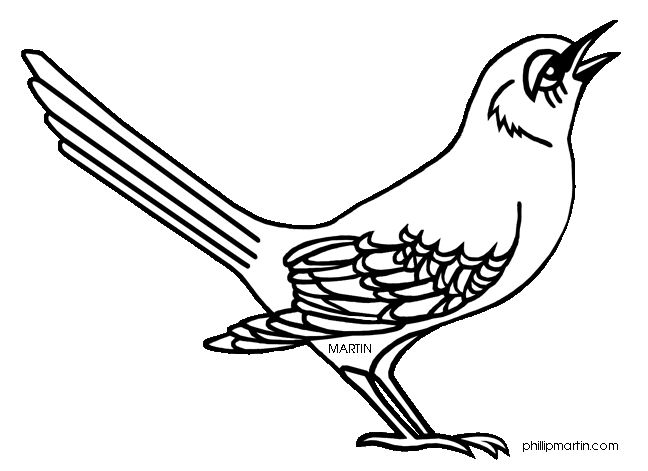 Mockingbird clipart #14, Download drawings